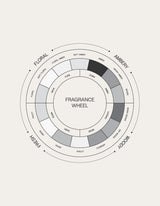 Solid Parfum Discovery 4 Set - ZUMA MOSE RUWA BAYA - Saint Cobes